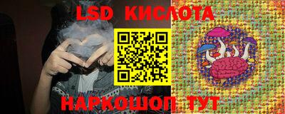 индика Будённовск