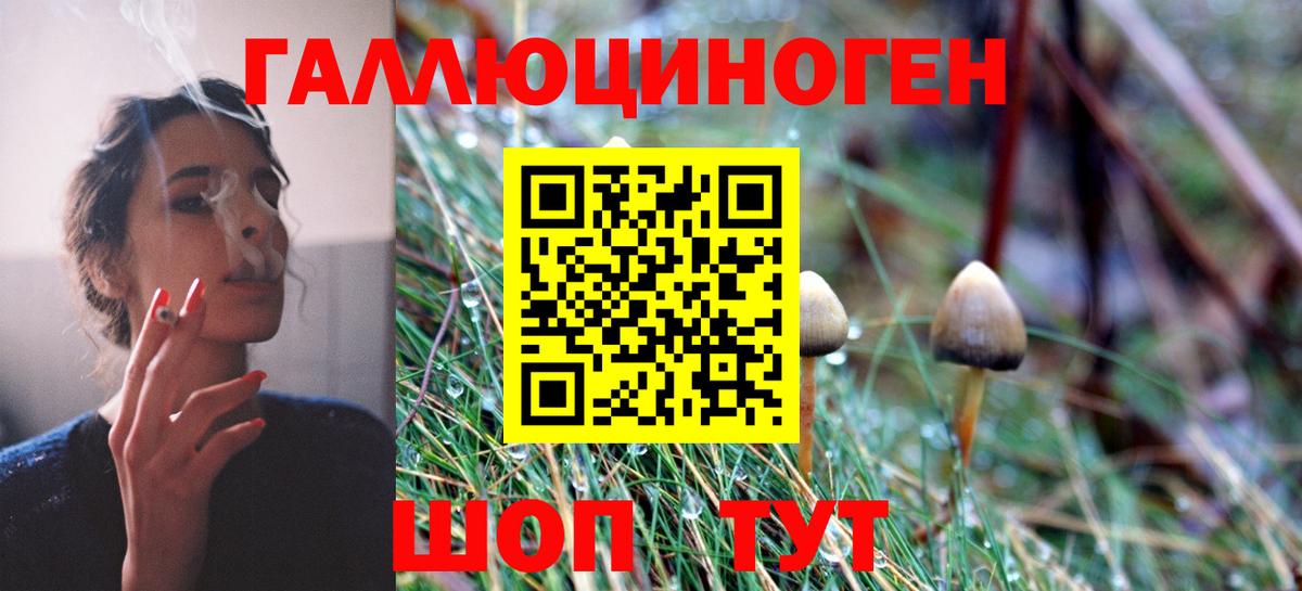 Галлюциногенные грибы Magic Shrooms Красноармейск
